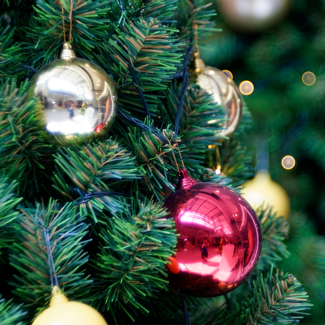 xmas-tree-square.png